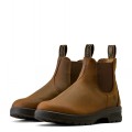 ARIAT WOMENS COOPER CHELSEA BOOT